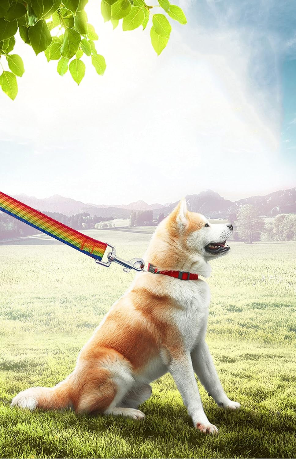 15Ft 20Ft 30Ft 40Ft 50Ft Long Dog/Puppy Lead Obedience Recall Training Dog Leashes for Small Medium Dogs Camping, Training, Play, or Backyard