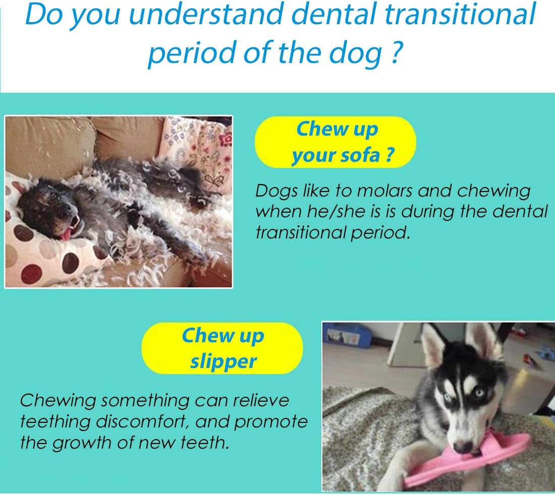 2 Pcs Light up Dog Balls Flashing Elastic Ball Glow in the Dark Interactive Pet Toys for Puppy, Cats, Dogs